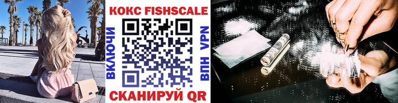 kraken зеркало  Бердск  Cocaine Fish Scale  даркнет сайт 