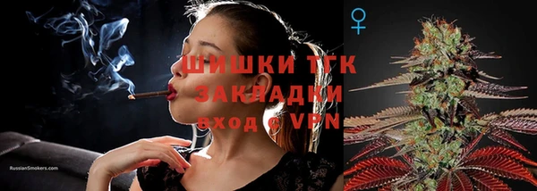 таблы Горняк