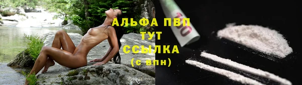 индика Сатка
