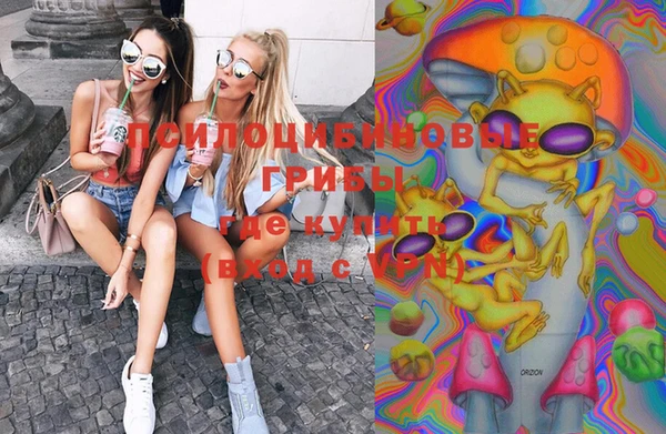 таблы Горняк