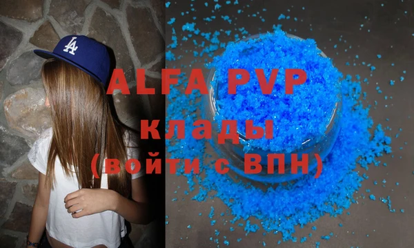 индика Сатка