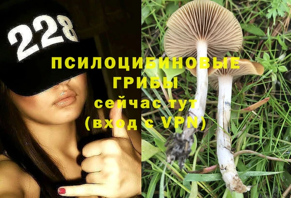 кокаин колумбия Горнозаводск