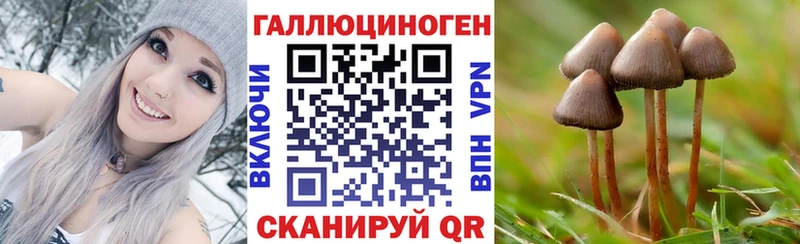 Псилоцибиновые грибы GOLDEN TEACHER  Бердск 
